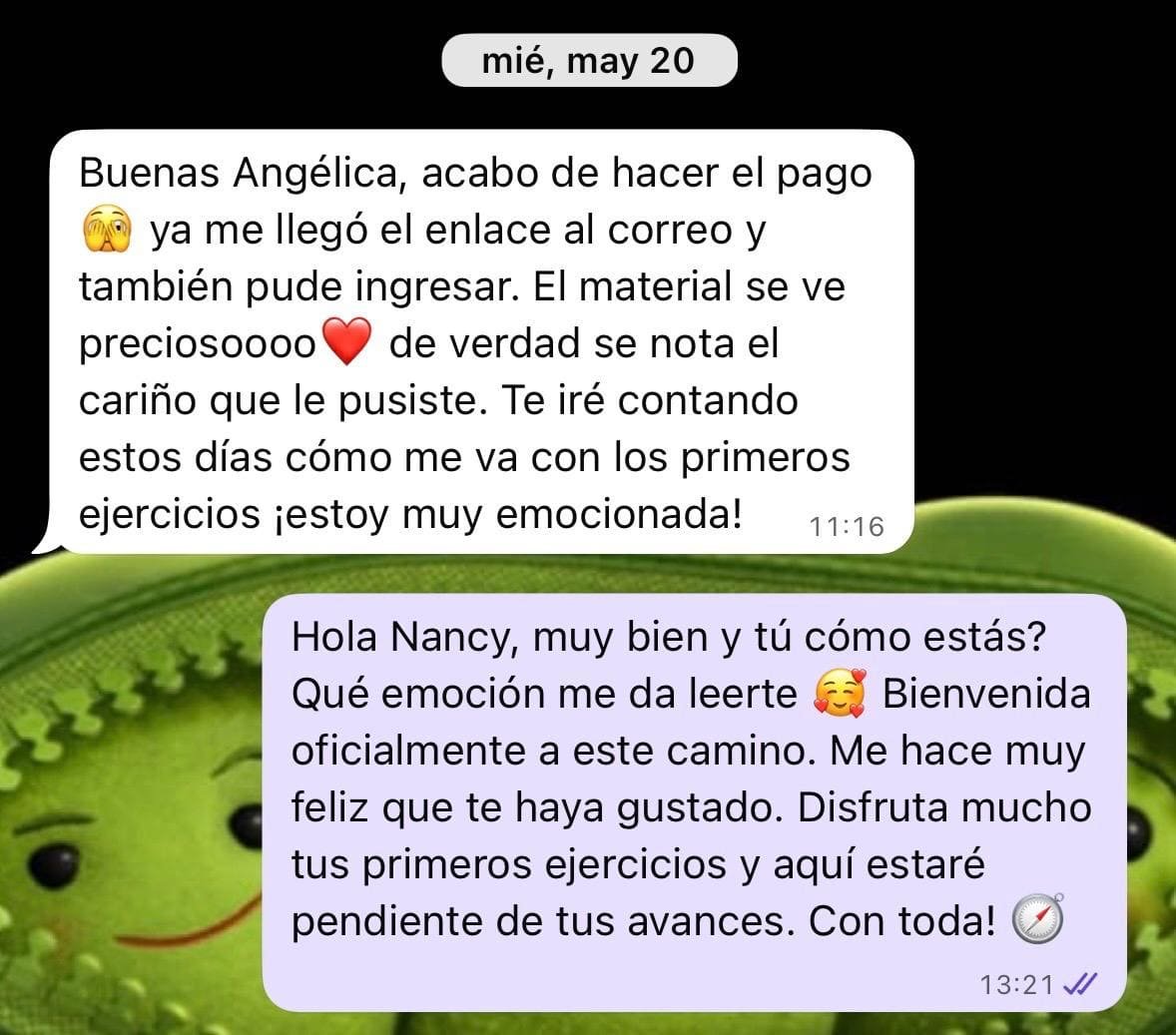 Captura real de WhatsApp: primera impresión tras la compra